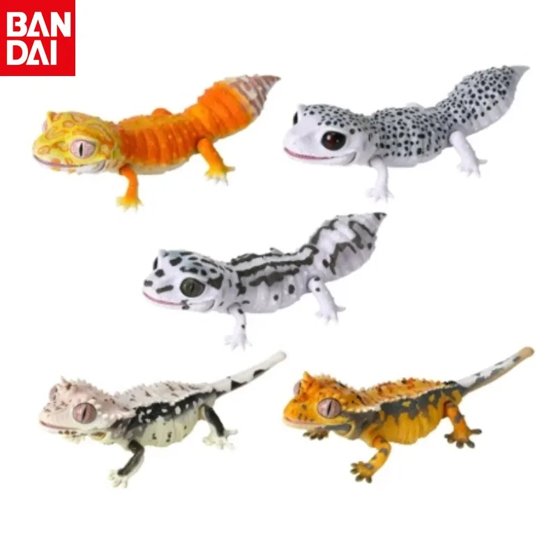 

Genuine Spot BANDAI Simulated Gekko Eublepharis Macularius Different Style Models Active Joint Action Figure Genuine Kids Toys