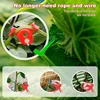 20-100PCS Plant Clamp Bending Device Flower Vine Branches Plant Stem Training Clips Plant Growth Bender Control Support Clamps 4