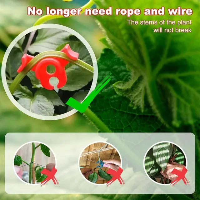 20-100PCS Plant Clamp Bending Device Flower Vine Branches Plant Stem Training Clips Plant Growth Bender Control Support Clamps 4