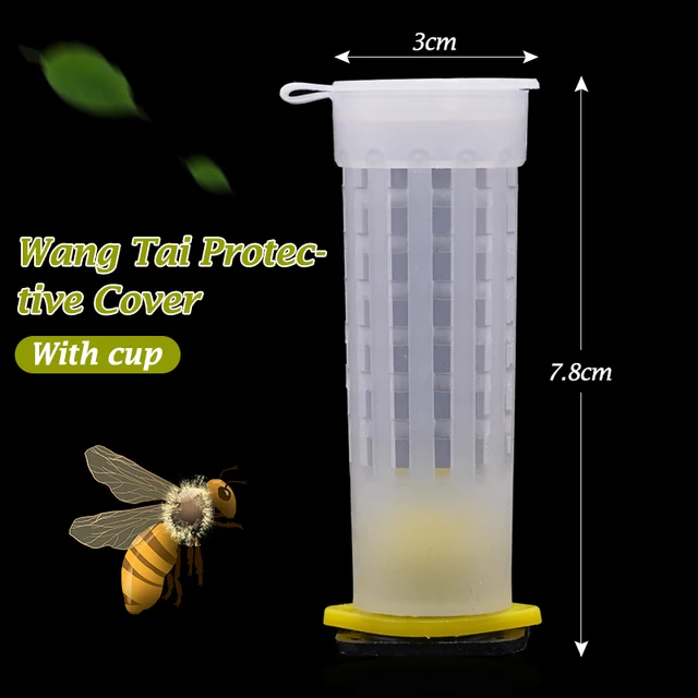 20 Pcs Queen Cage Toing Cover Capter, King Védő Borítója Megakadályozza A Méh Harapós Ketreceket, Méhészeti Lárva Szerszám - Image 2