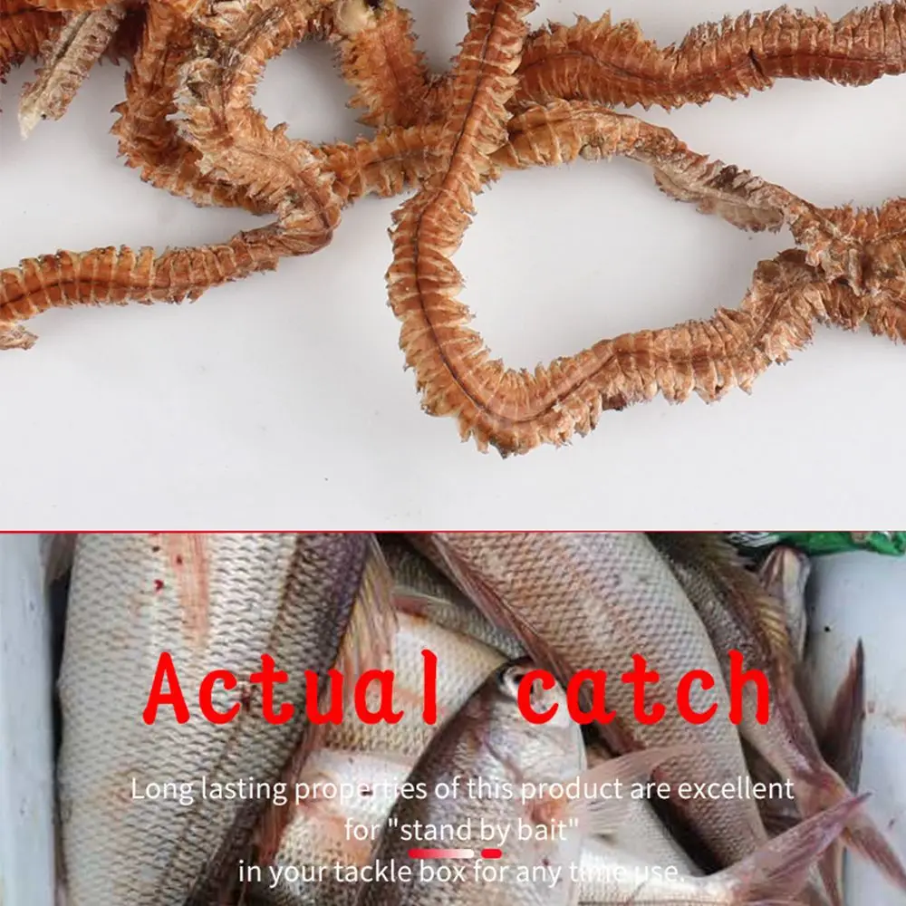 1Pack 2021 Peche Worms 6g 10g Silicone Baits Dry Lugworm Fishing Power Lures Sandworm