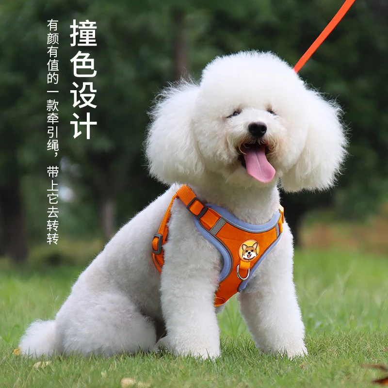 

Dog leash vest type chest straps slipped a small medium large breed dog rope golden chain bite
