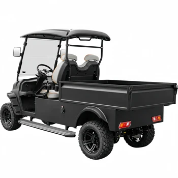 4-wheel electric golf cart, 2-seater with shaking, farmer cart, hunting cart, farm cart, factory custom golf cartgolf buggy