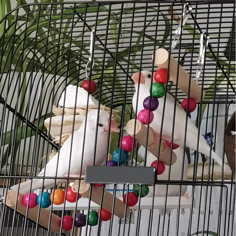 Wood Parrot Toys Bird Toy Cage Bird Accessories Swing Suspension Bridge Ball Cage Bells Pet Supplies Set 3