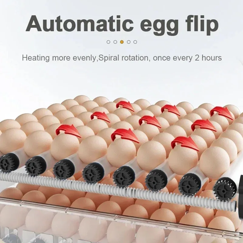 Egg incubator 12/15/24 eggs small household automatic intelligent incubator poultry waterbed incubators and temperature controler