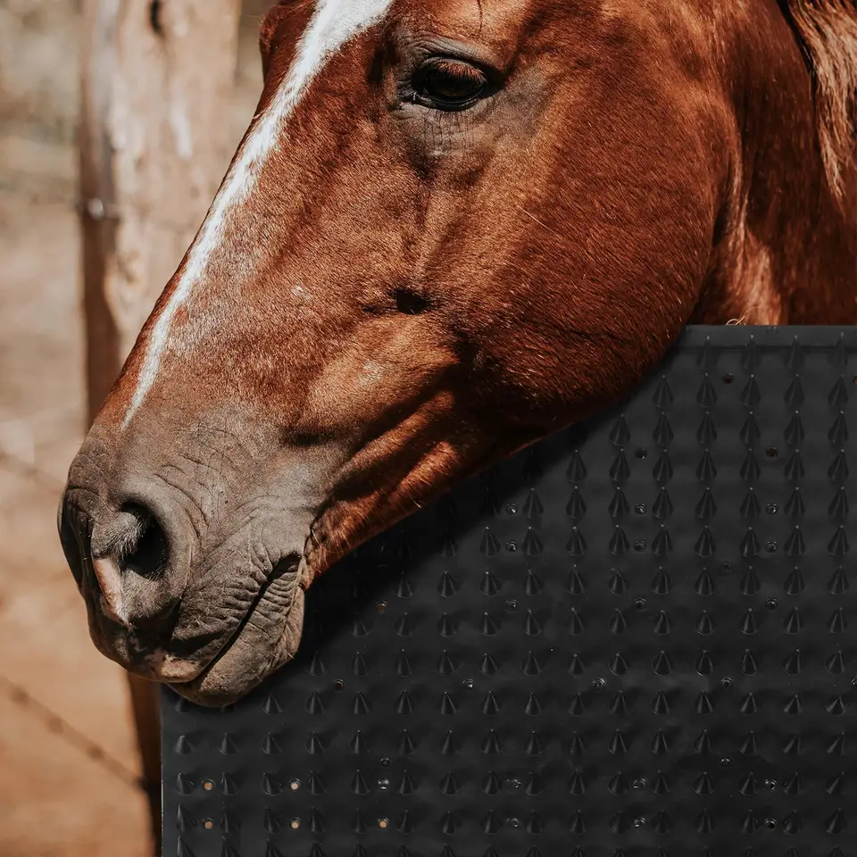 Tapis à Gratter Pour Chevaux – Griffoir Pour Démangeaisons, Poteau