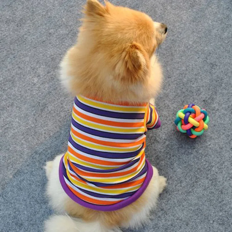 Colorful rubber chewing and training ball toy for dogs and puppies