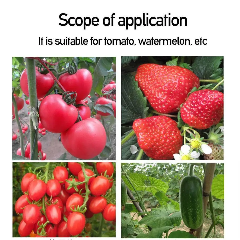 Tomato-Foliar-Fertilizer-Anti-cracking-Reddening-Pigment-Planting-Supplements-Home-Greenhouse-Supplies-Garden-Tomato-Nutrit-Z4f0.jpg Paradicsom Loliar Műtrágya Rágcsáló Vörösesítő Pigment Ültetési Kiegészítők Otthoni Üvegházhatások Kert Nutrit Z4F0 - Image 6