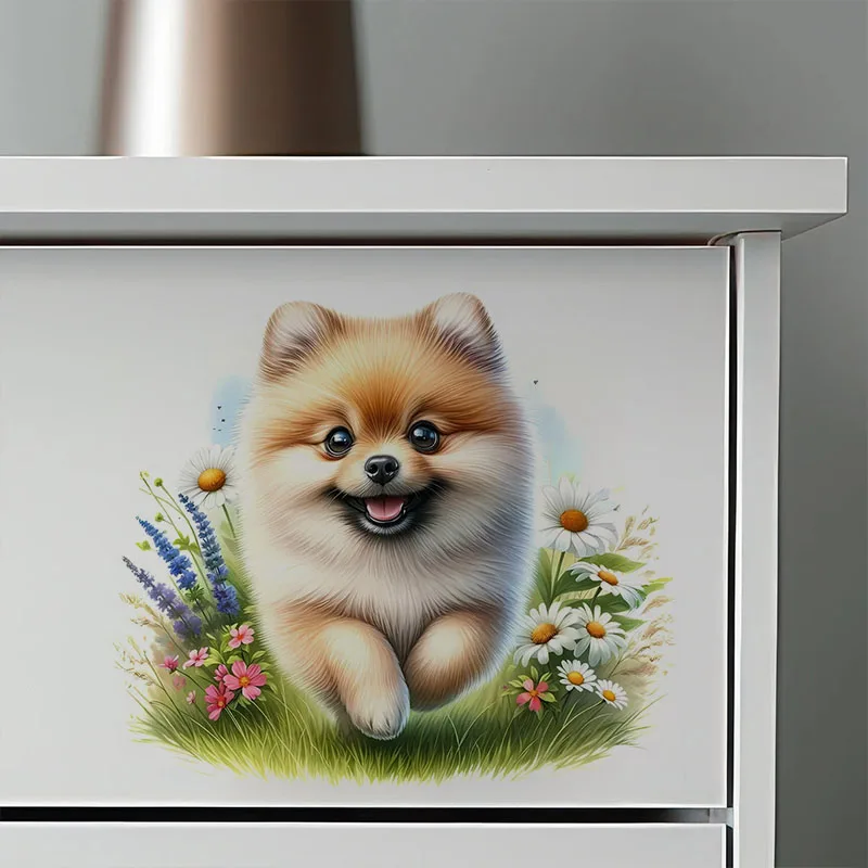 Pomeranian Dog Wall Decal For Kitchen & Living Room