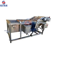 Multifunctional Air Bubble Fruit & Vegetable Washing Machine With Conveyor Belt Shrimp Mussel Cleaning Machine Potato Cleaner 2