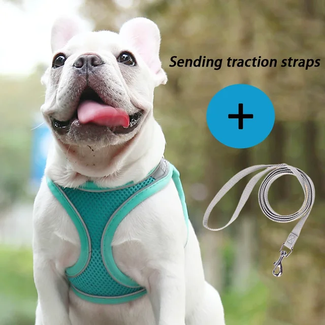 Dog Harness Leash Set for Small Dogs Adjustable Puppy Cat Harness Vest French Bulldog Chihuahua Pug Outdoor Walking Lead Leash 6