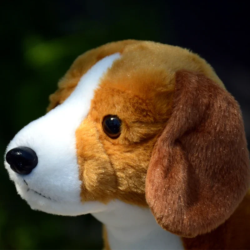 Realistic Beagle Dog High Fidelity Cute Plushie Harrier Dogs Plush Toys Lifelike Animals Simulation Stuffed Doll Kawai Toy Kids 5