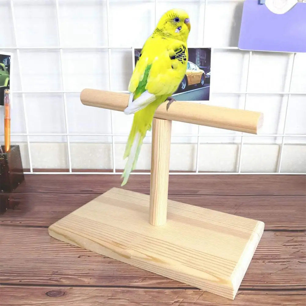 Parrot Rack Stand Wooden Tabletop Perch Durable Safe Eco-friendly Parrot bird perch