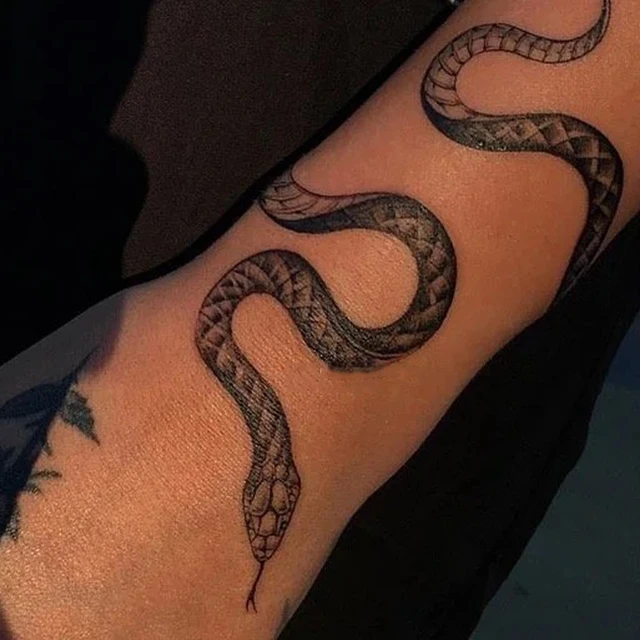 Tatuagem Temporária Cobra Serpente A Prova D'água C9955