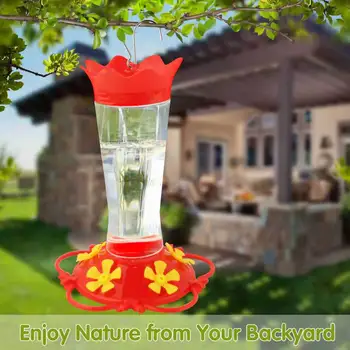 Hummingbird Nectar Feeder 1