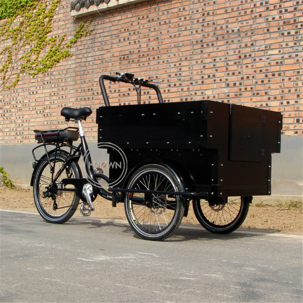 250W Europeo Elettrico Adulto Pedale Adulto Cargo Bike Famiglia Bambini Triciclo Adulto 3 Ruote Trike Per Lo Shopping Trasporto Bambino