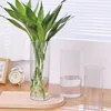 Acrylic Clear Cylinder Flower Vase Unbreakable Hurricane Tall Large Shatterproof Vases For Wedding Centerpieces Hydroponic Decor 1