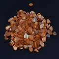 Orange shell