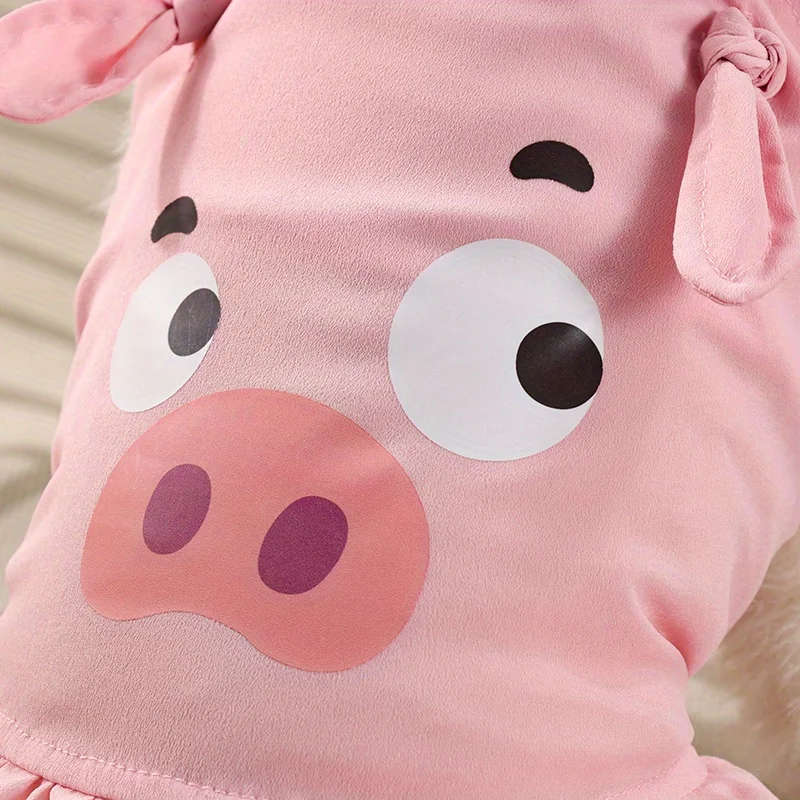 Dog Anti-hair Clothing Spring and Summer Thin Cat Princess Dress Lace Cake Multi-layer Dress Small Dog Teddy Pet