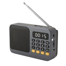 Rechargeable Portable Digital Music Player with FM Radio and LED Display (Black)