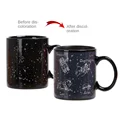 Twelve constellation