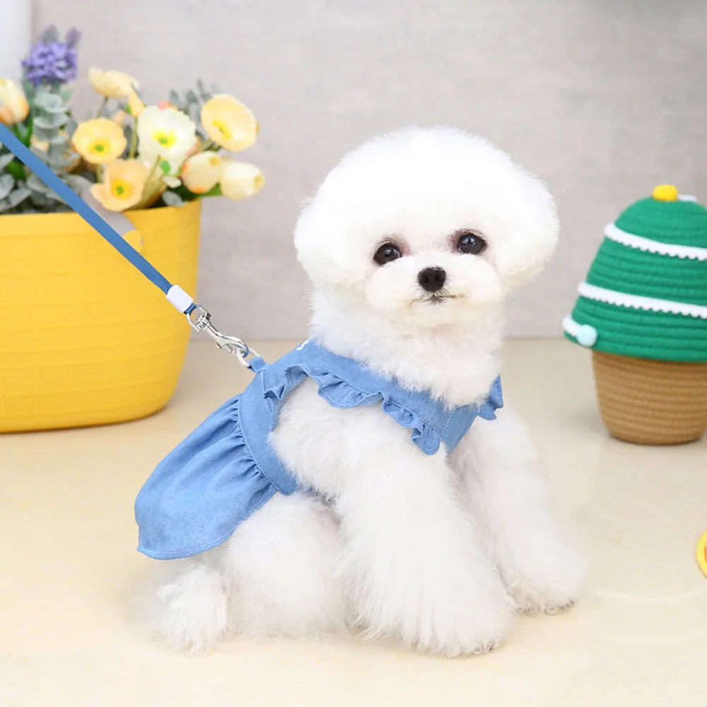 Chic Denim Dress for Small Dogs