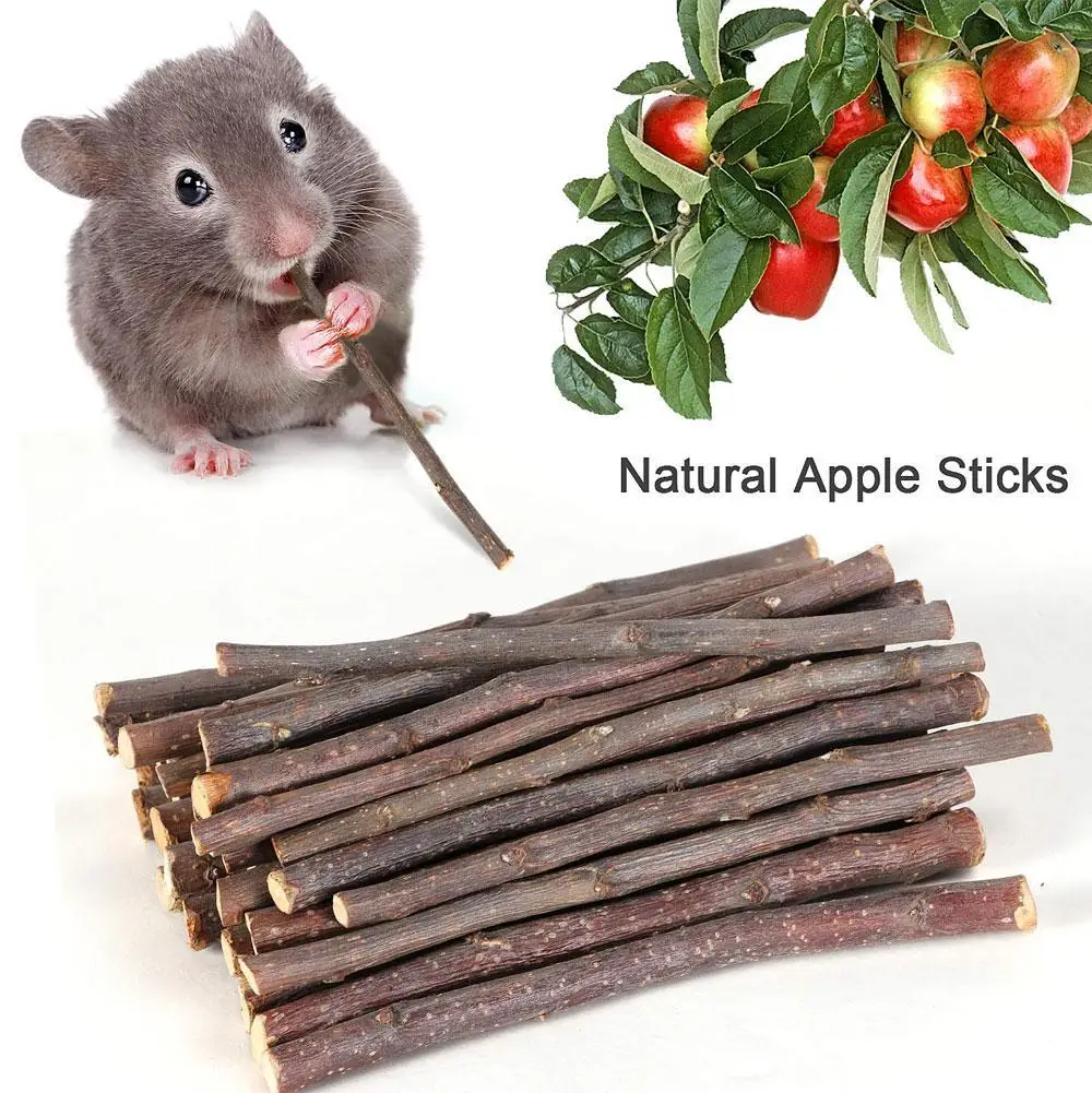 Natural Apple Wood Chew Sticks 6