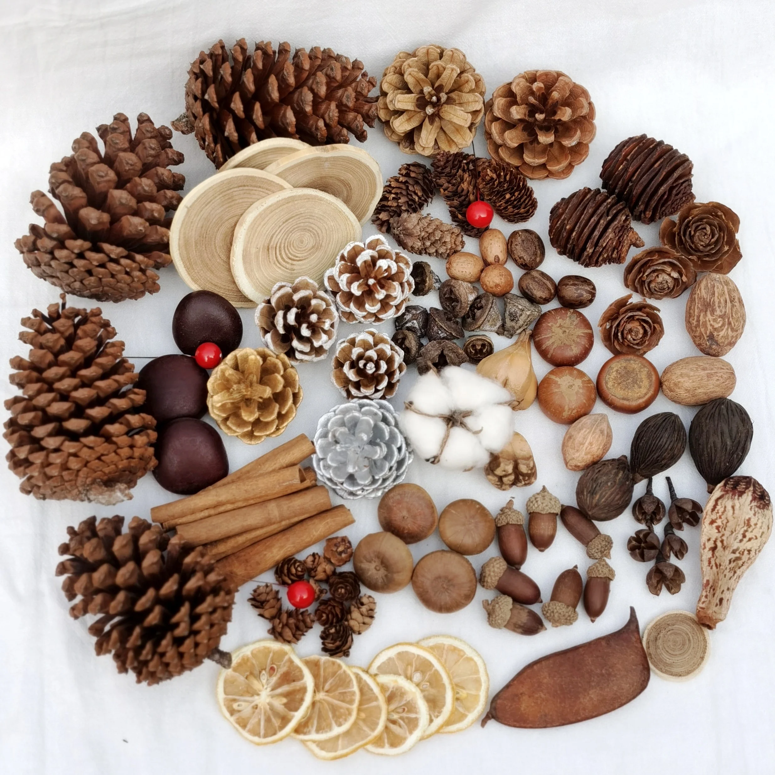 l Dried Flowers And Fruits Decorative DIY Handmade Cisas Scenic Spot ential Oil l Material ell Cone