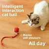 Interactive Dog Toys Rechargeable Pet Interactive Toys Electric Cats Ball  Automatic Rolling Fake Tail Ball Dog  Cats Toy 2