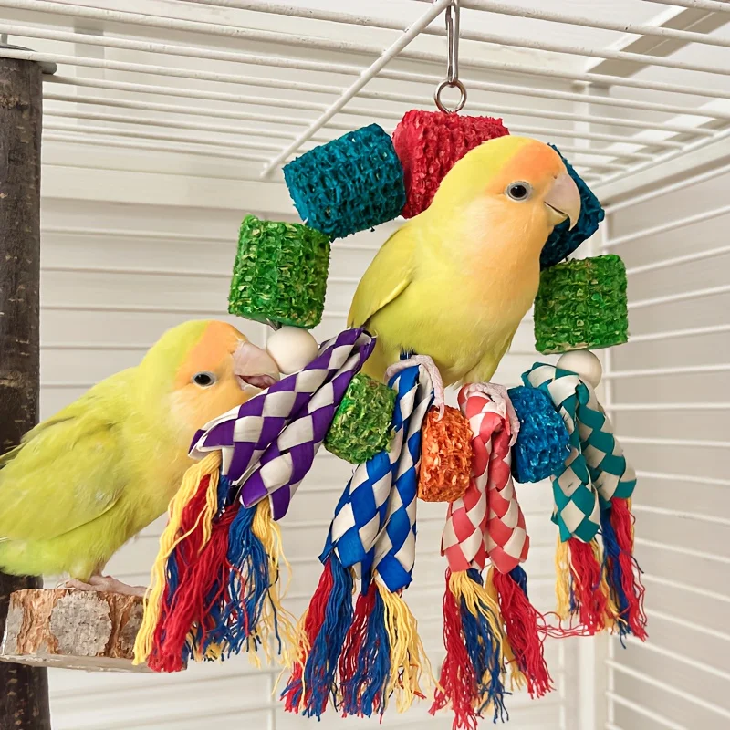 Colorful Corn Cob Chew Toy for Parrots, Hanging Climbing Rings with Woven Rope, Fun Bird Cage Accessory