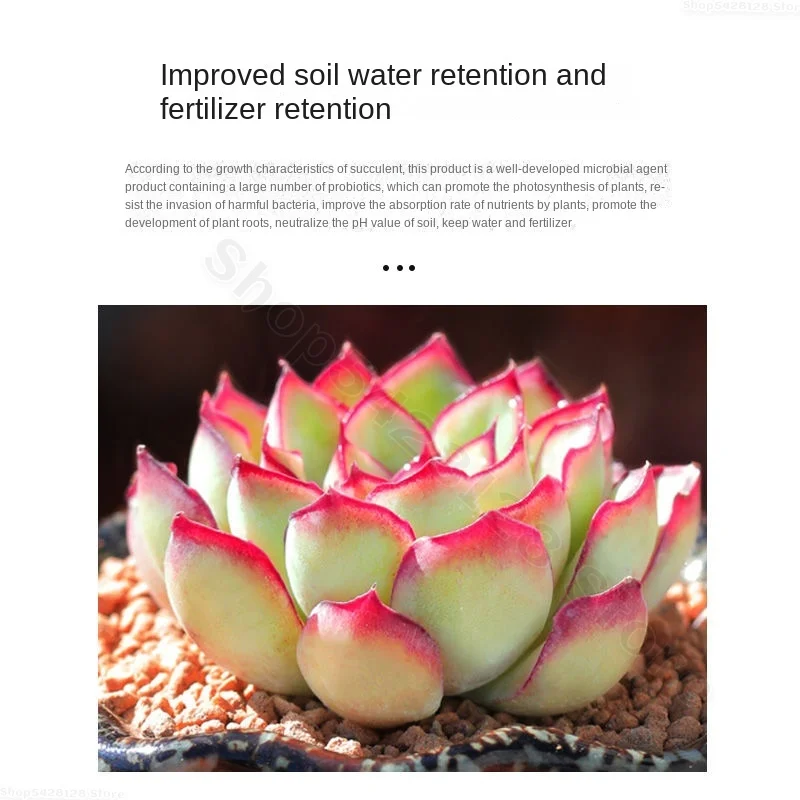 Рисунок 4 - Питательный раствор для суккулентов