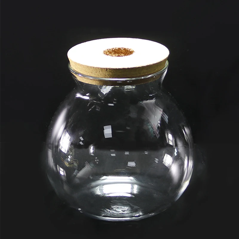 Mini Beta Fish Tank Aquarium Bottles 6