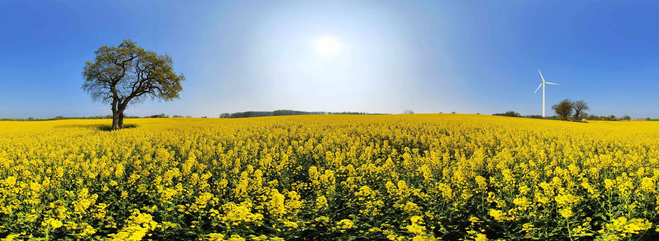도시 풍경 캔버스 회화 호수 숲 풍경 그림 벽 장식 포스터 거실 침실 인쇄 그림