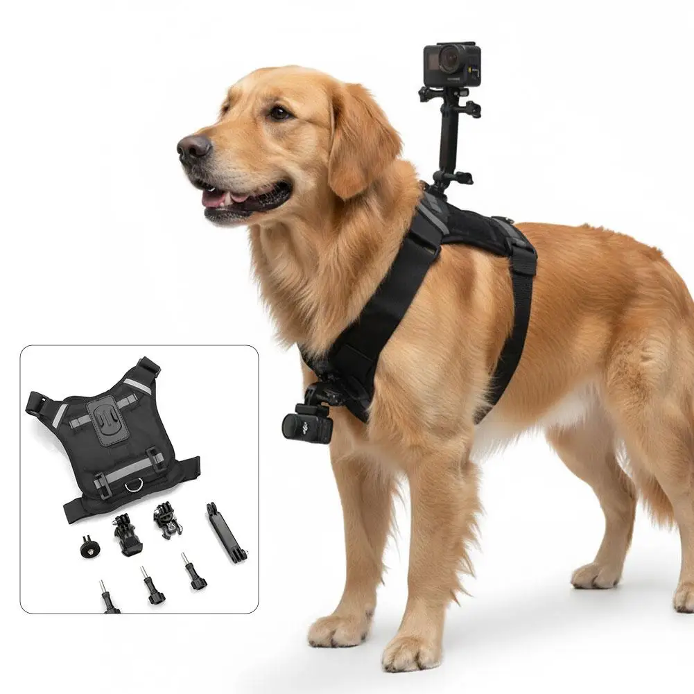 Vue arrière du harnais de maintien pour chien avec support caméra action, fixé solidement sur le dos de l'animal.