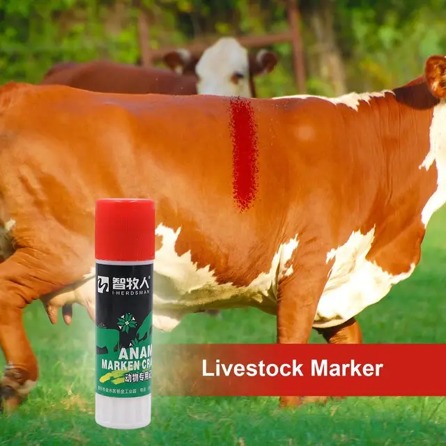 Matita Per Marcatura Bestiame - Pastello Paraffina Per Animali (Mucca, Pecora, Maiale) - Foto 10