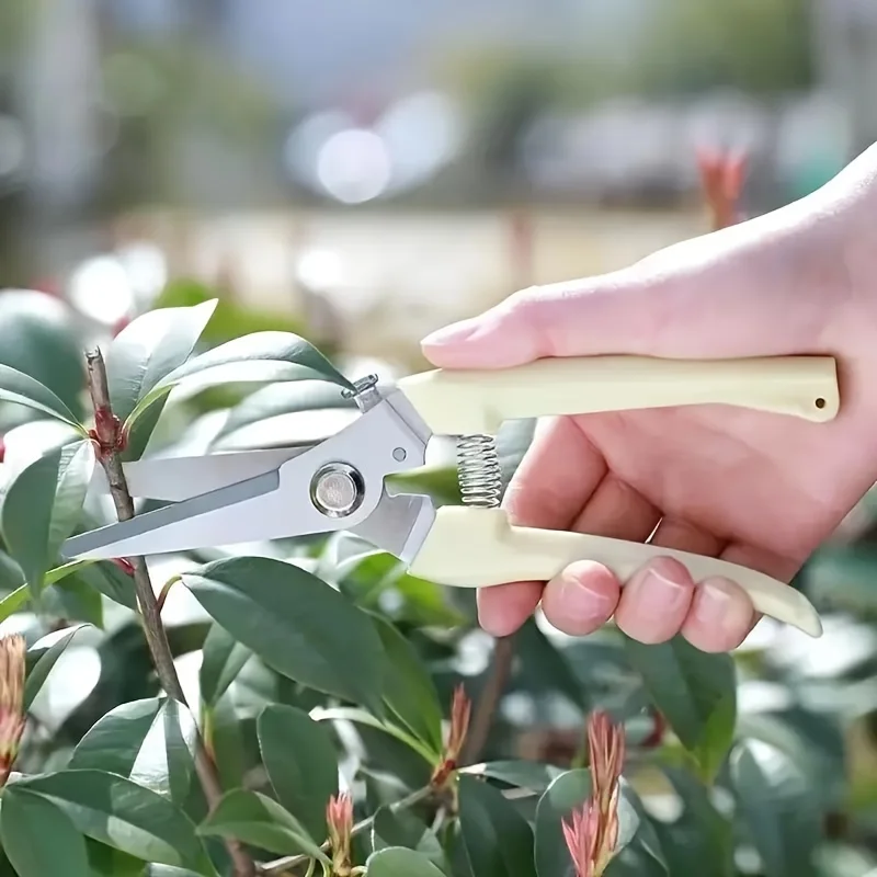 Stainless Steel Scissors Flower Cutting