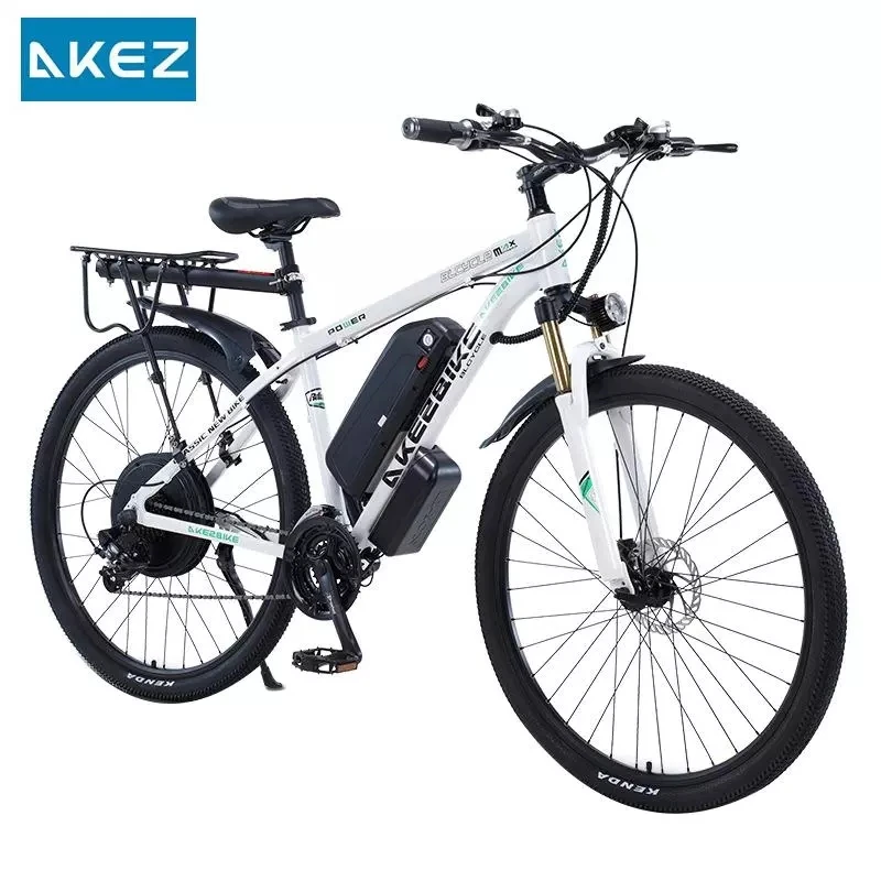 29 Inch Powerful Electric Booster Bicycle Mountain Adults 1000W Off Road Electric Bike Long Distance 21 Speed