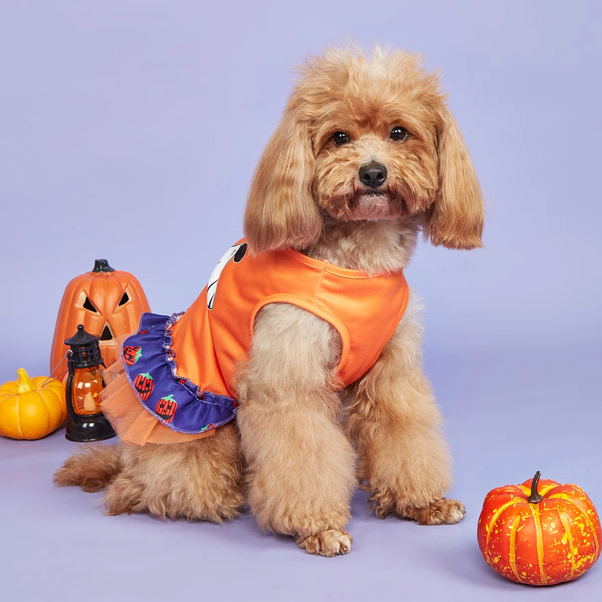 Halloween Puppy Dresses Dog Dress for Small Dogs Costume Pumpkin and Ghost Printed Puppy Clothes with Ruffle Tulle Doggie Party