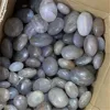 Gemstone Healing Spiritual Crystals Crafts Natural Blue Rose Quartz Crystal Palm Stones For Feng Shui Decor 6