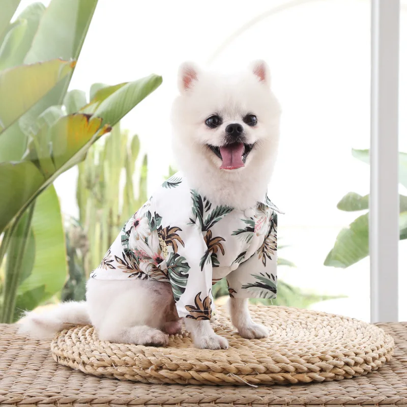 Chemise hawaienne pour chiens