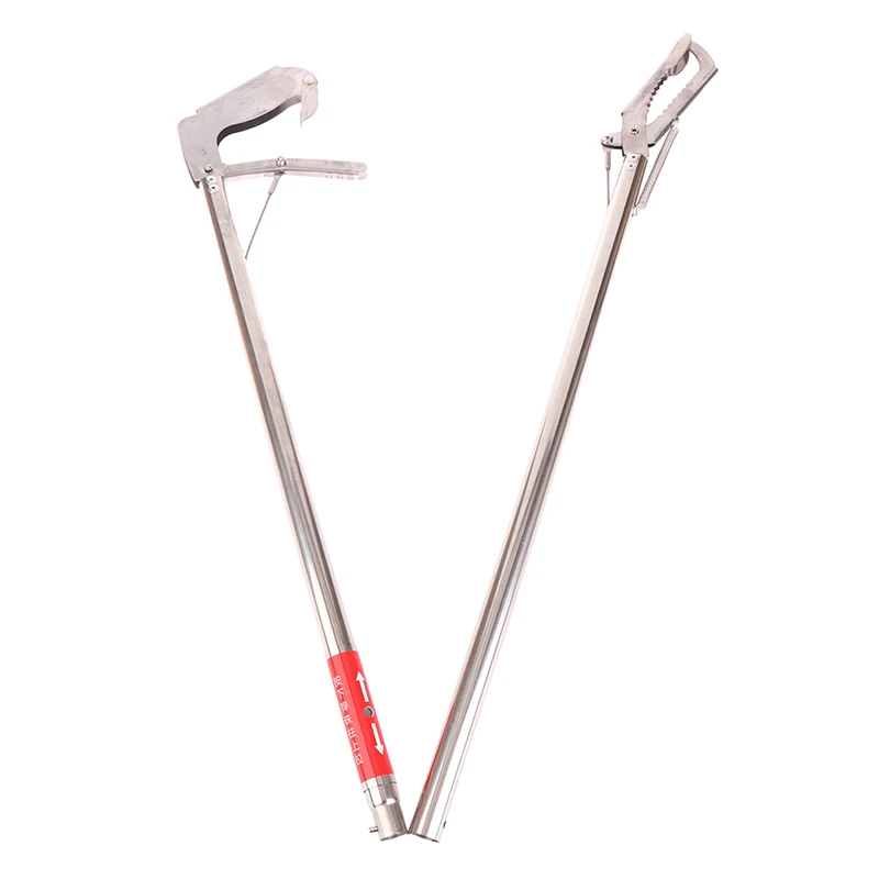 Slide image 14ac1f94441d4850acbf3c475322c768