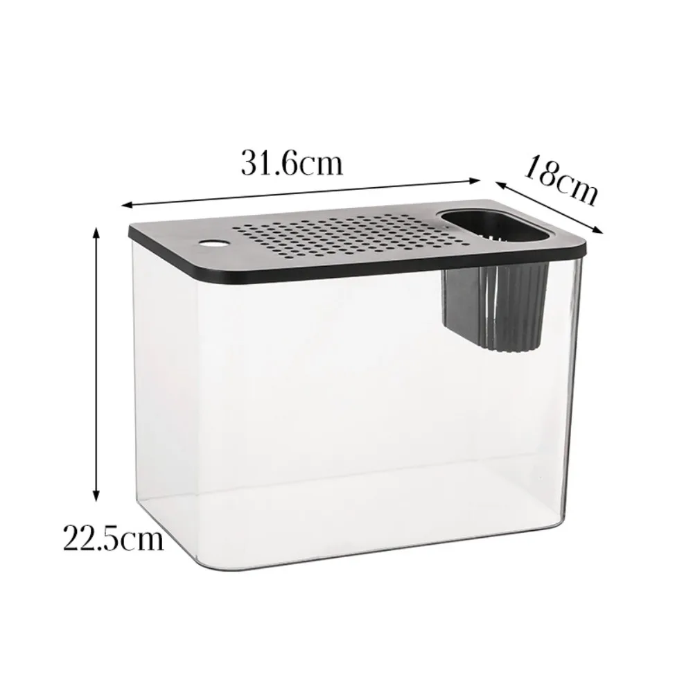 Transparent Hydroponic Fish Tank 4