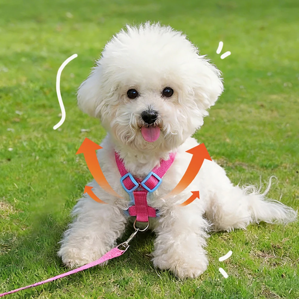 Adjustable Dog Harness And Leash Set For Small Dogs Walking_voghion.com