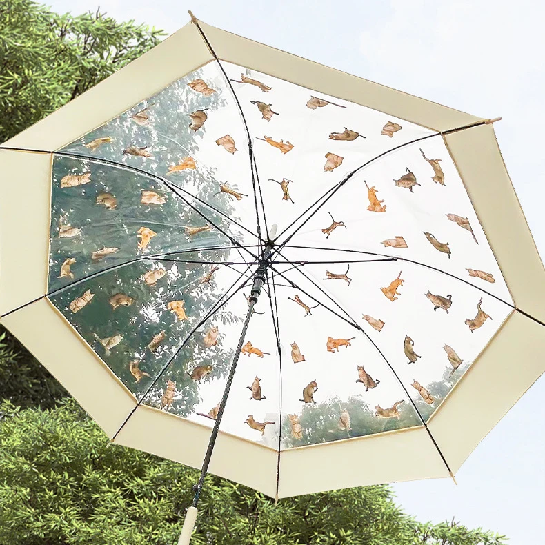

Cute Long Umbrella for Women Windproof Korean Style Transparent Umbrella for Rain Travel Fashion Cat Umbrellas Free Shipping