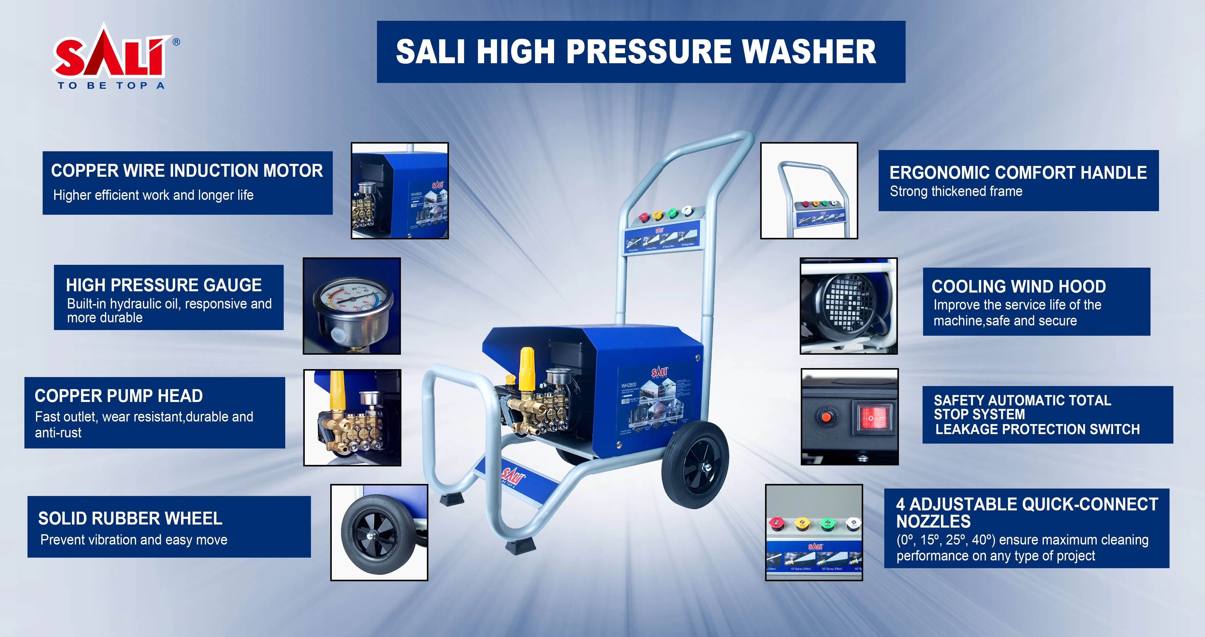 Рисунок 4 - Мойка высокого давления SALI с