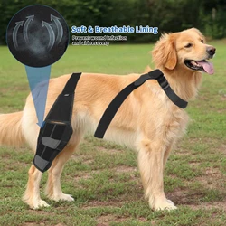 Pet Puppy Knee Pads Dog Leg Knee Brace Straps Dog Accessories Adjustable Dogs Support Belt For Joint Injury Recovery Legs