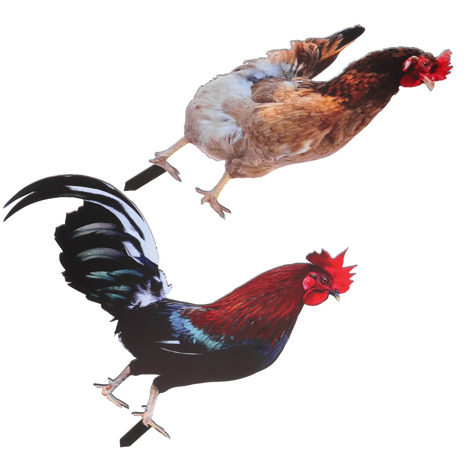 

Rooster Garden Stakes Acrylic Chick Signs Outdoor Hen Statue Chicken Yard Art Sculpture Ground Insert Ornament Backyard Patio