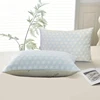 WQSPRING Aloe Pillow, Set Of 2 Cooling Zippered Breathable Bed Pillow For Sleeping, Reversible, Adjustable Cube Pillow For Hot S 2