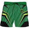 Chechnya Russian Graphic Beach Shorts Men 3D Printing Board Shorts Swimsuit Summer Bermuda Surf Swim Trunks Cool Kids Ice Shorts 6
