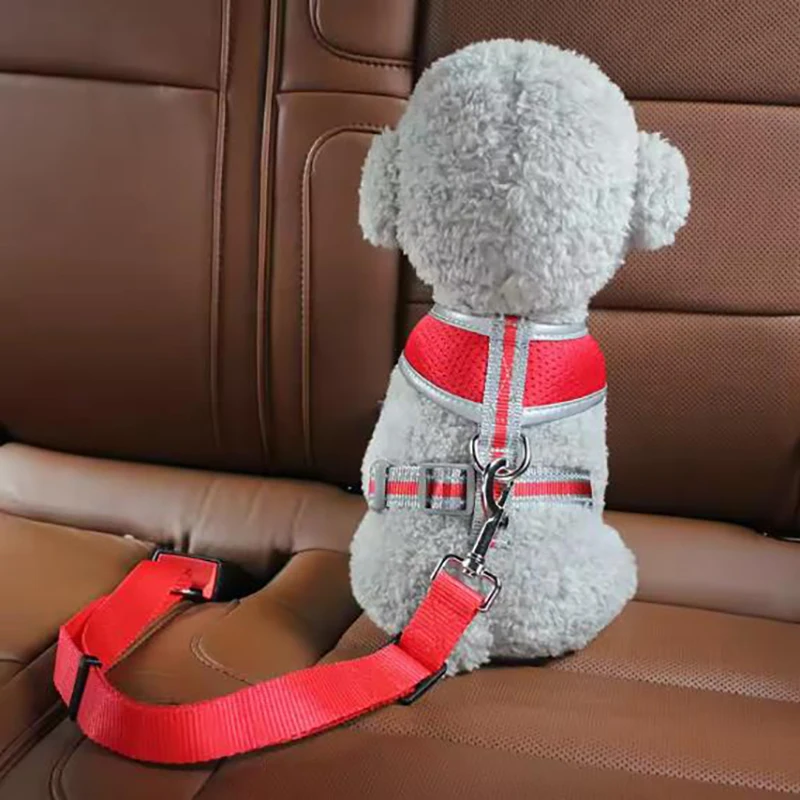 Dog Car Seat Belt Leash 4